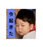 紫陽3（個別スタンプ：14）