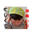 紫陽3（個別スタンプ：15）