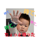 紫陽3（個別スタンプ：17）