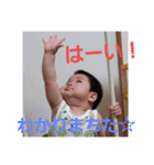 紫陽3（個別スタンプ：18）