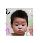 紫陽3（個別スタンプ：19）