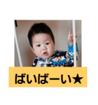 紫陽3（個別スタンプ：20）