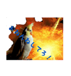 カオスインコ（個別スタンプ：6）