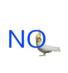 カオスインコ（個別スタンプ：12）