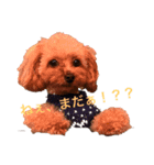 ひまりちゃんスタンプ♪（個別スタンプ：1）