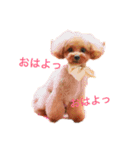 ひまりちゃんスタンプ♪（個別スタンプ：2）
