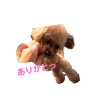 ひまりちゃんスタンプ♪（個別スタンプ：8）