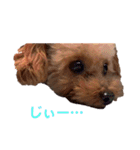 ひまりちゃんスタンプ♪（個別スタンプ：9）