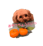 ひまりちゃんスタンプ♪（個別スタンプ：14）