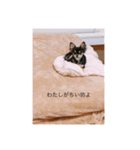 ちい坊（個別スタンプ：4）