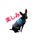 MINT、version2（個別スタンプ：9）