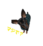 MINT、version2（個別スタンプ：14）