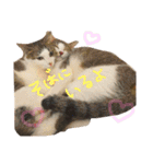 ちくつくぼーさん（個別スタンプ：9）