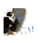 ちくつくぼーさん（個別スタンプ：11）