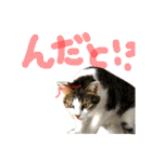 ちくつくぼーさん（個別スタンプ：16）