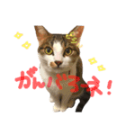 ちくつくぼーさん（個別スタンプ：18）