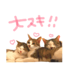 ちくつくぼーさん（個別スタンプ：19）