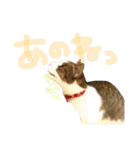 ちくつくぼーさん（個別スタンプ：22）