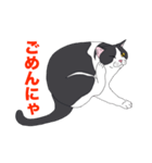 ブリショ・グーちゃんの猫スタンプ（個別スタンプ：2）