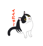 ブリショ・グーちゃんの猫スタンプ（個別スタンプ：3）