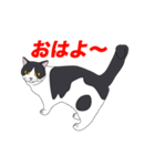ブリショ・グーちゃんの猫スタンプ（個別スタンプ：5）