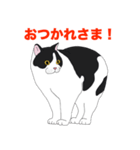 ブリショ・グーちゃんの猫スタンプ（個別スタンプ：9）