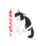 ブリショ・グーちゃんの猫スタンプ（個別スタンプ：10）