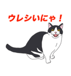 ブリショ・グーちゃんの猫スタンプ（個別スタンプ：11）