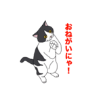 ブリショ・グーちゃんの猫スタンプ（個別スタンプ：14）