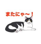 ブリショ・グーちゃんの猫スタンプ（個別スタンプ：15）