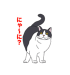 ブリショ・グーちゃんの猫スタンプ（個別スタンプ：16）