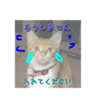 まめこのキモチ（個別スタンプ：16）