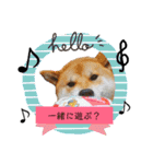 茶々丸(いろいろ)（個別スタンプ：6）
