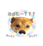 茶々丸(いろいろ)（個別スタンプ：8）