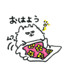 きっとポメラニアンのスタンプ（個別スタンプ：1）