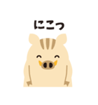 ひょっこりいのしし（個別スタンプ：9）