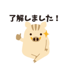 ひょっこりいのしし（個別スタンプ：17）