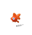 金魚8（個別スタンプ：1）