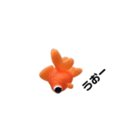 金魚8（個別スタンプ：5）