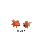 金魚8（個別スタンプ：6）
