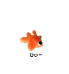 金魚8（個別スタンプ：7）