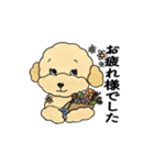 デイリーシュガーキャンディー (日本語)（個別スタンプ：3）