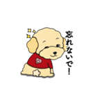 デイリーシュガーキャンディー (日本語)（個別スタンプ：11）