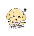 デイリーシュガーキャンディー (日本語)（個別スタンプ：16）