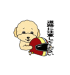 デイリーシュガーキャンディー (日本語)（個別スタンプ：17）