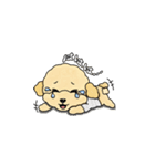 デイリーシュガーキャンディー (日本語)（個別スタンプ：18）