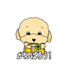 デイリーシュガーキャンディー (日本語)（個別スタンプ：19）