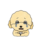 デイリーシュガーキャンディー (日本語)（個別スタンプ：20）