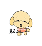 デイリーシュガーキャンディー (日本語)（個別スタンプ：24）