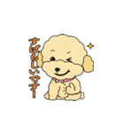 デイリーシュガーキャンディー (日本語)（個別スタンプ：25）
